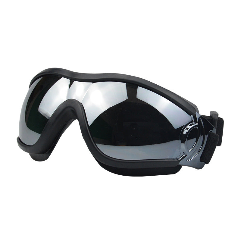 Pet Glasses Dog