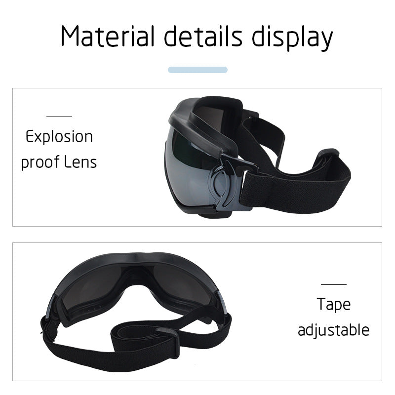 Pet Glasses DogPet Glasses Dog